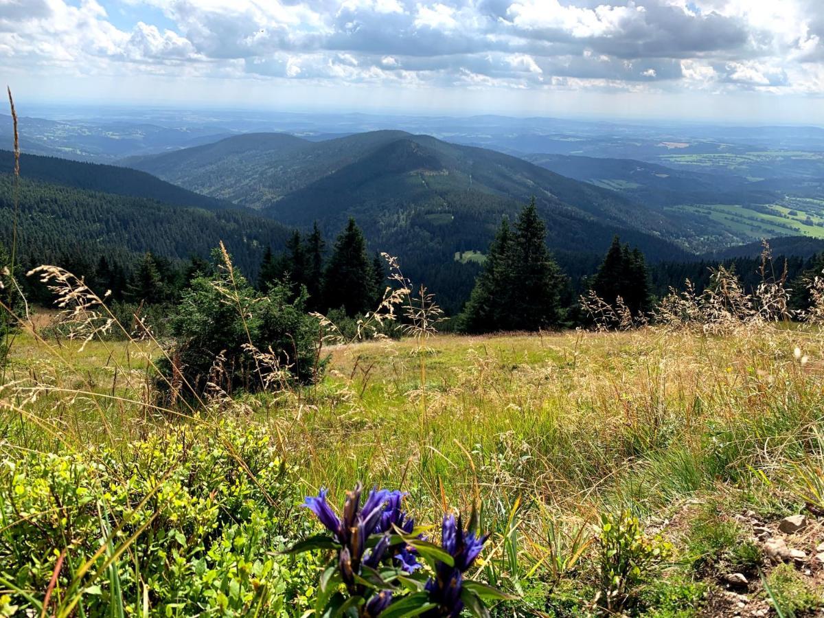 Roudnice Apartmany Stare-Hory Krkonose מראה חיצוני תמונה